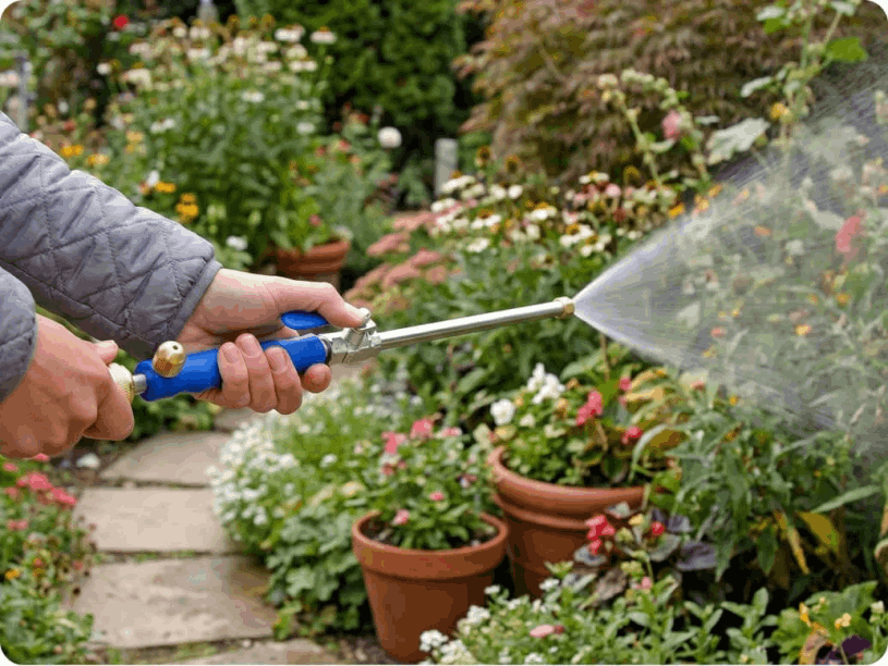 showing maestro pressure washer